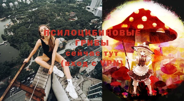 а пвп мука Тайга
