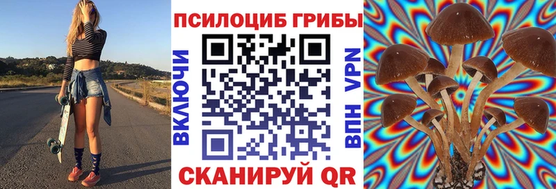 Псилоцибиновые грибы GOLDEN TEACHER магазин наркотиков Кулебаки