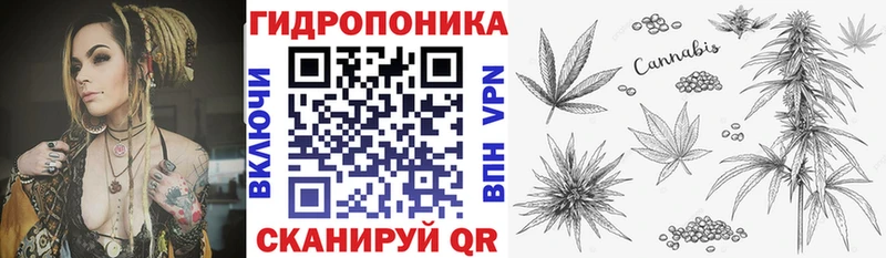 Каннабис планчик  наркота  Кулебаки 